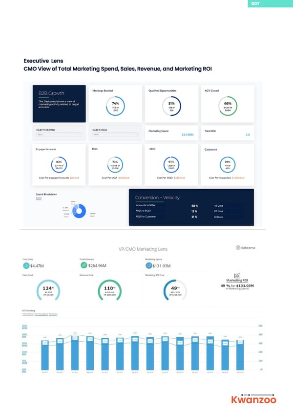 2. Revenue Operations Analytics - Page 8